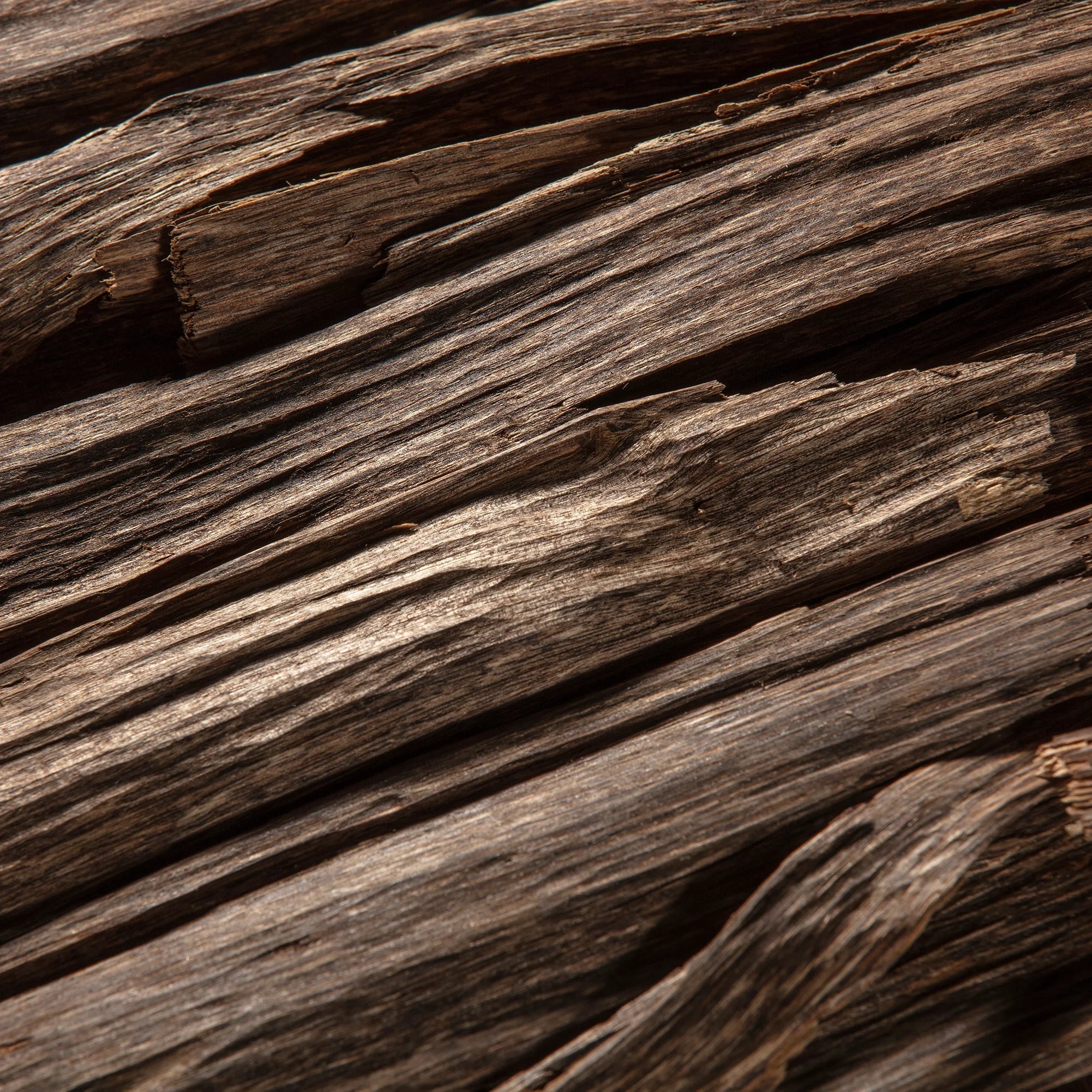 What is Oud? Unveiling the Enigmatic Scent Everyone's Talking About